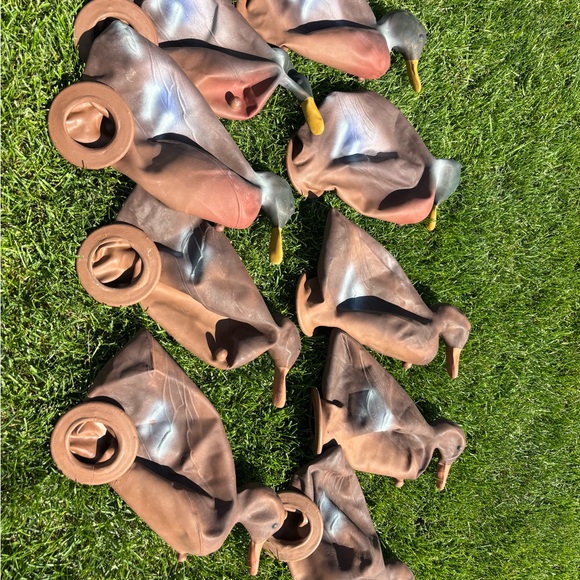 Other - Vintage Duck Hunting Decoys Set